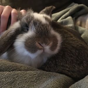 Meet your Posher, Heidi